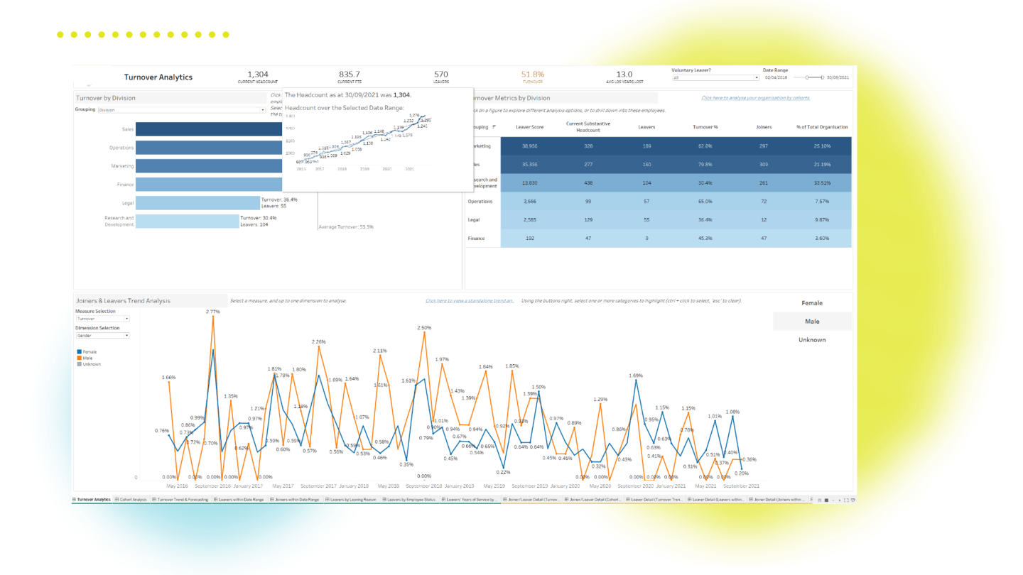 HR Insight 
