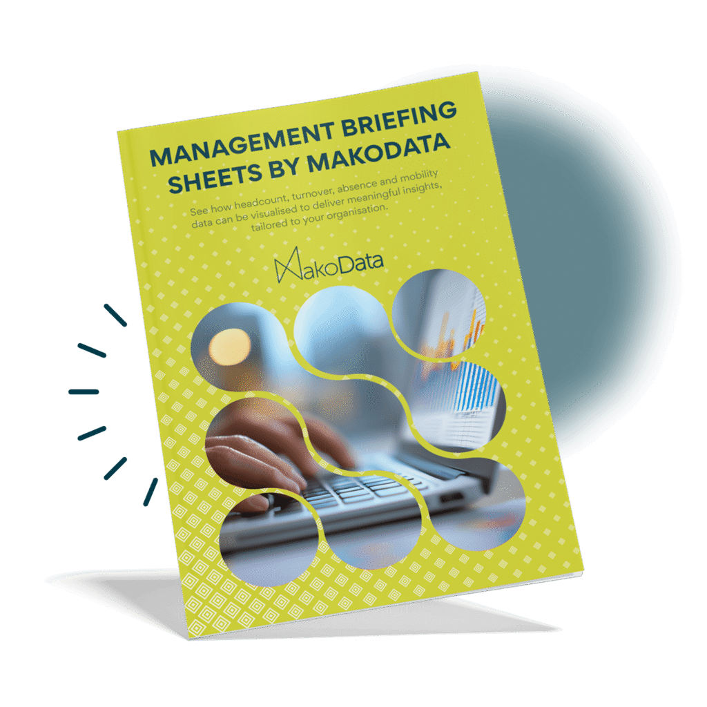 Management Briefing Sheets by MakoData